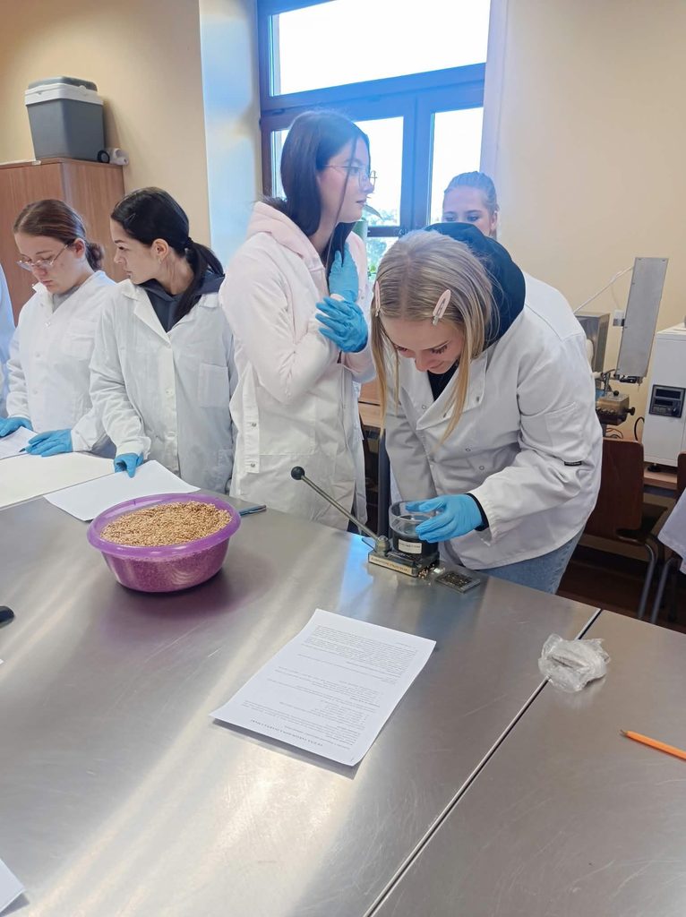 uczennica przy stole laboratoryjnym bada szklistość ziarna zboża na aparacie, obok miska z ziarnem z boku inni uczniowie.