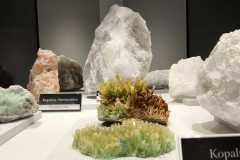 IMG-20260203-WA0004