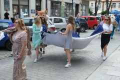 DSCF4236