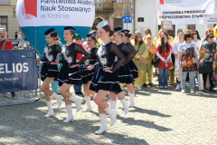 DSCF6619