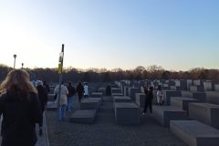 IMG_20251217_145505-2000x2664