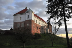 l3uW3JumZVWqkYlkZAaa_dsc0082