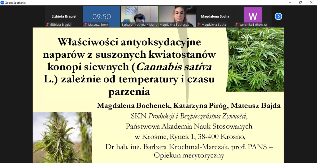 Slajd pierwszy podczas prezentacji Właściwości antyoksydacyjne naparów z kwiatostanów wybranych odmian konopi siewnych, zależnie od temperatury i czasu parzenia – Magdalena Bochenek, Katarzyna Piróg, Mateusz Bajda – SKN Produkcji i Bezpieczeństwa żywności.