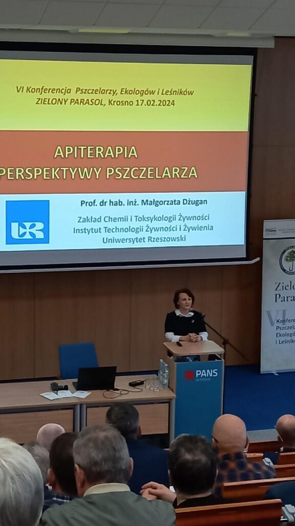 dr hab. Barbara Krochmal-Marczak wita prelegentów konferencji