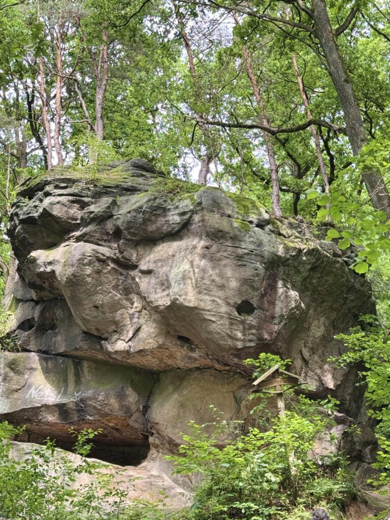 skały w rezerwacie