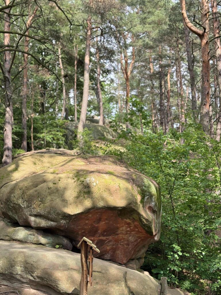 skały w rezerwacie