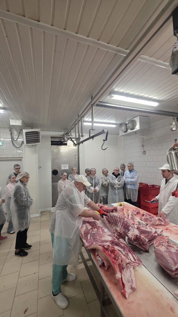 Studenci przyglądają się rozbiórce tuszy przez pracownika na hali
