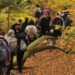 XIII Rajd Integracyjny studentów I roku