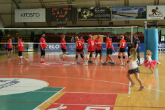 DSC01446v2
