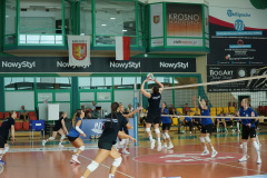DSC03895