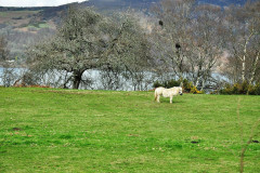 k3eWlN2kZWRjSJ4_dsc0174