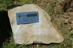 DSCF8840