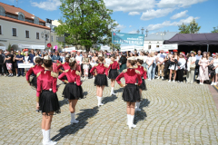 DSCF6549