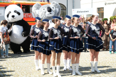 DSCF6558