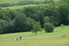 DSCF1558