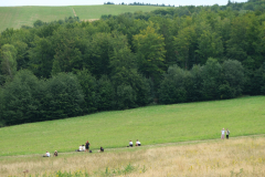DSCF1562