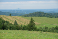 DSCF1632