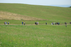DSCF1728