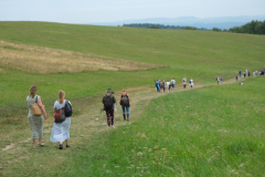 DSCF1739